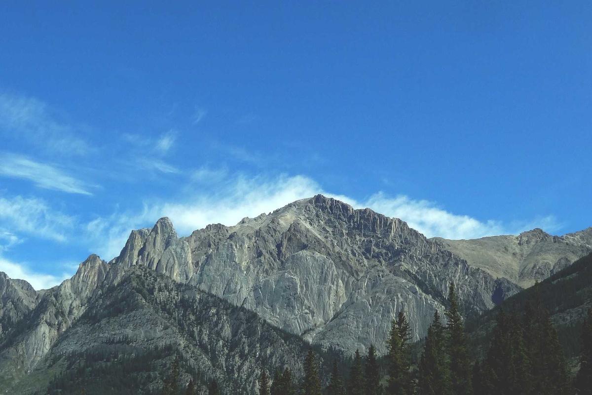 Tim Esports Indonesia maju ke semifinal