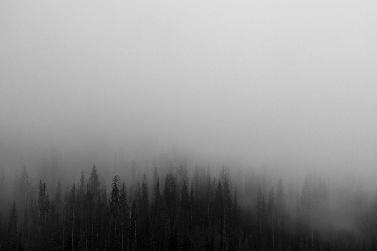 Mengenal 5 Tim Free Fire Vietnam PerwakilanTuan Rumah FFWS SEA 2026 Spring! – IndoGamers