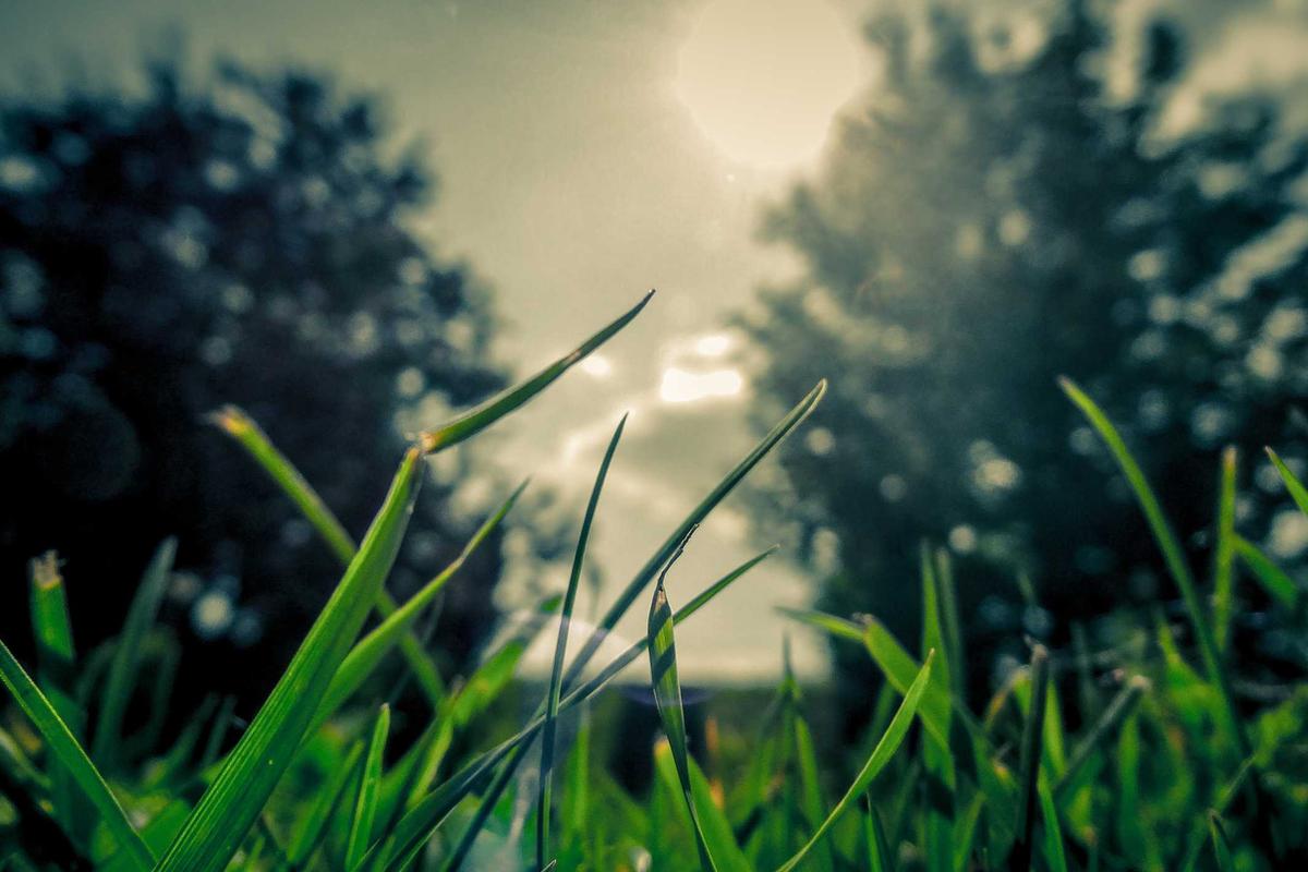 Hasil Esports SEA Games 2025: Indonesia Raih 1 Perak & 4 Perunggu