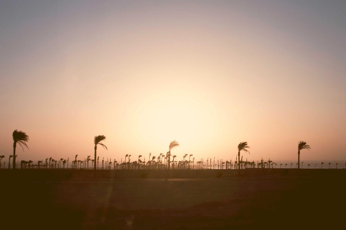 ESI Kalsel Sosialisasikan E-Sport di Mall