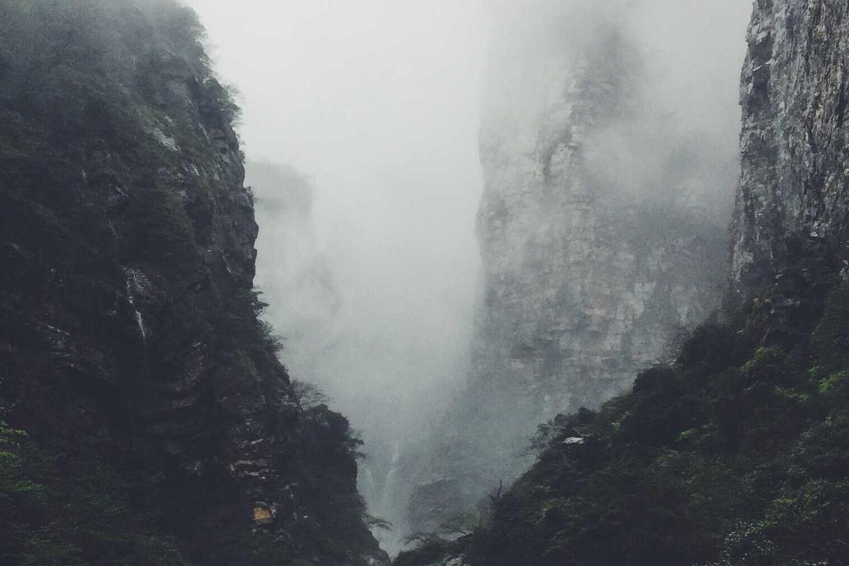 Tim Esport Indonesia Raih Juara Free Fire & MLBB Esport World Cup 2025 – KONI