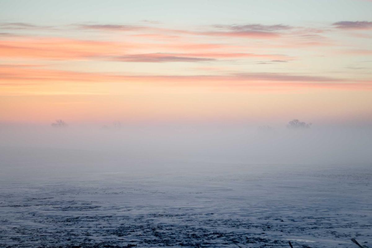 Tim Esport Indonesia Raih Juara Free Fire & MLBB Esport World Cup 2025 – KONI